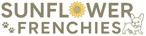 Logo for Sunflower Frenchies. A modern, simple design with the words Sunflower Frenchies and a cartoon picture of a sunflower and a french bulldog puppy